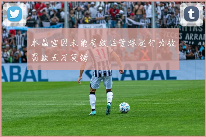 水晶宫因未能有效监管球迷行为被罚款五万英镑