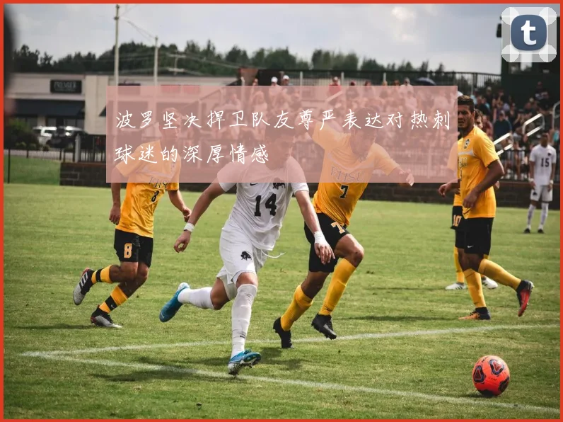 波罗坚决捍卫队友尊严表达对热刺球迷的深厚情感